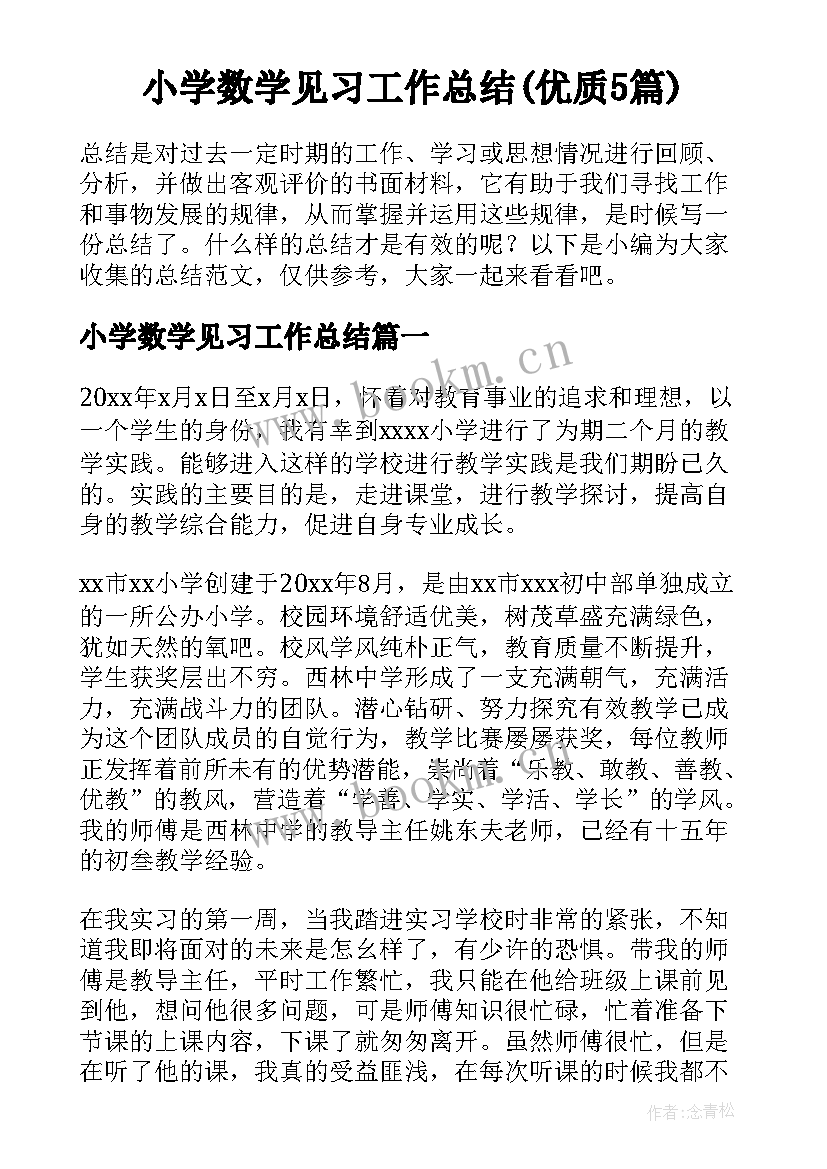 小学数学见习工作总结(优质5篇)