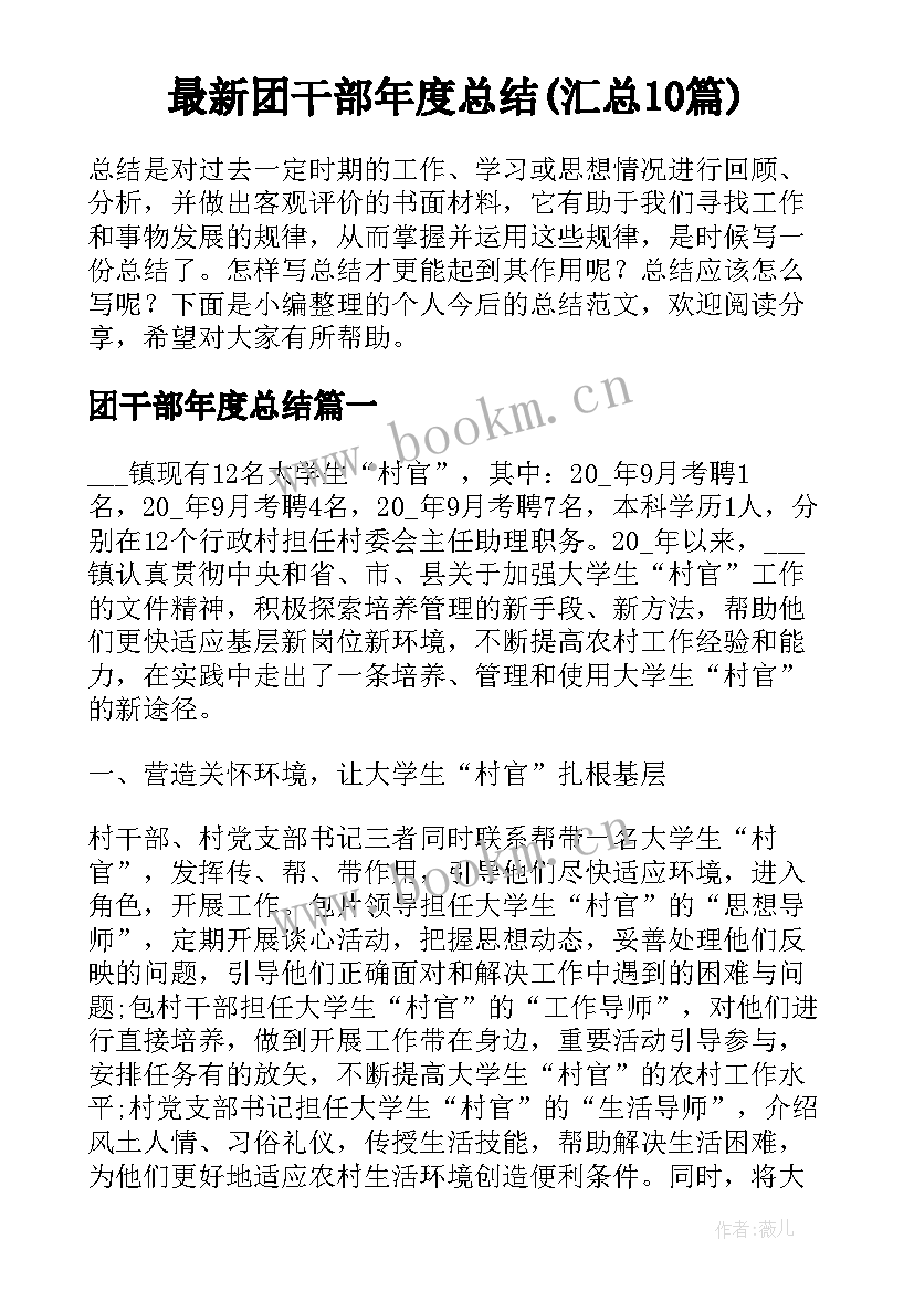 最新团干部年度总结(汇总10篇)