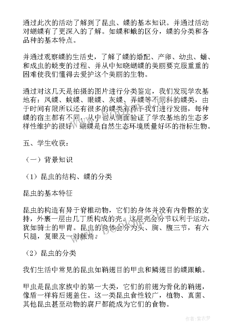 2023年上海高中研究性课题报告(优秀5篇)