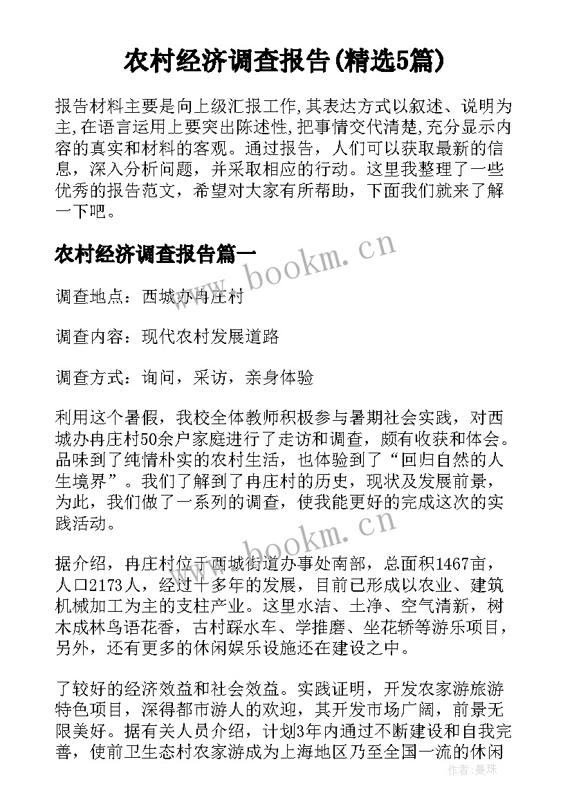 农村经济调查报告(精选5篇)