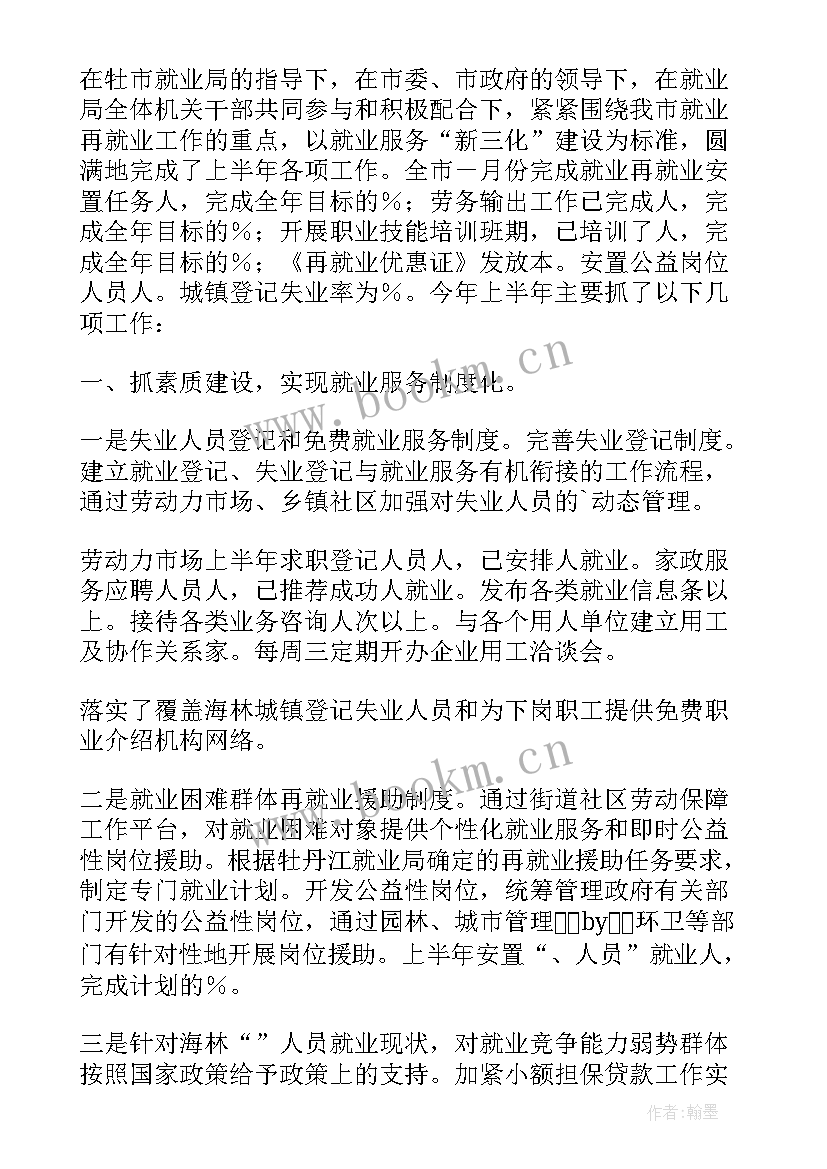 社会工作就业 就业局再就业工作总结(精选9篇)