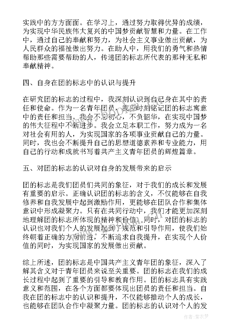 最新团的标志和象征心得体会(通用5篇)