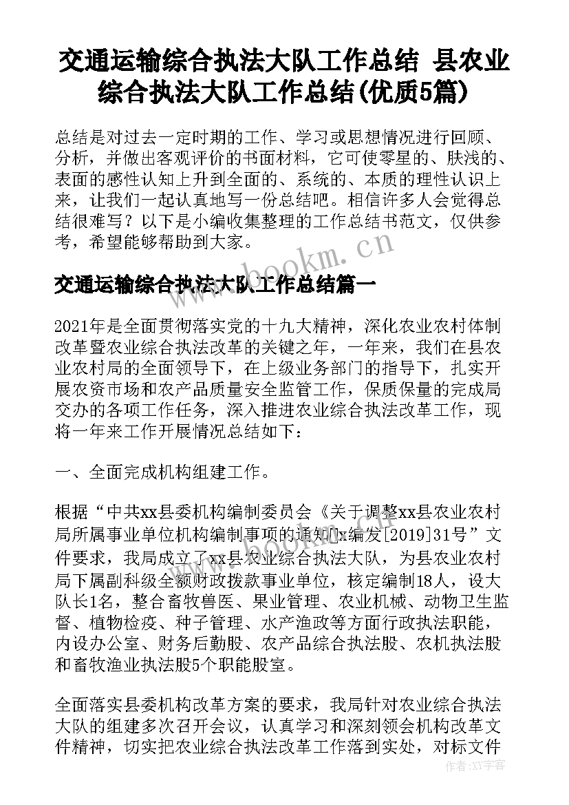 交通运输综合执法大队工作总结 县农业综合执法大队工作总结(优质5篇)