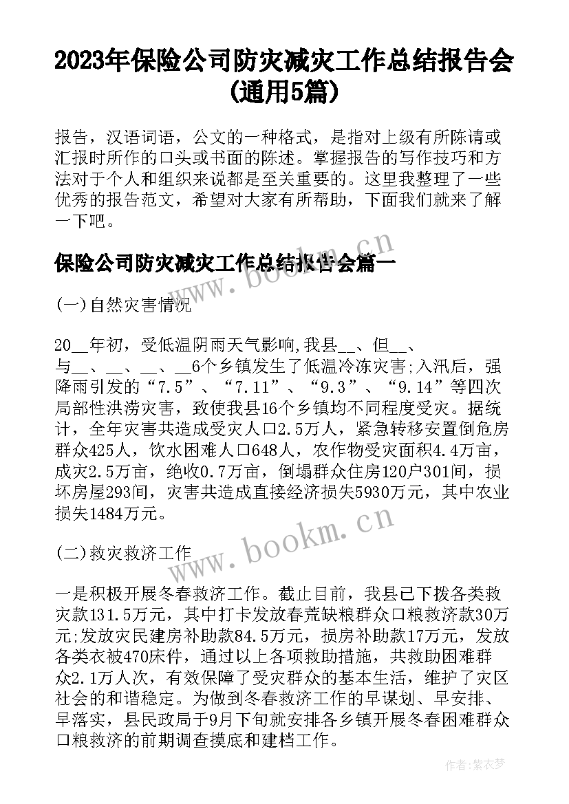 2023年保险公司防灾减灾工作总结报告会(通用5篇)