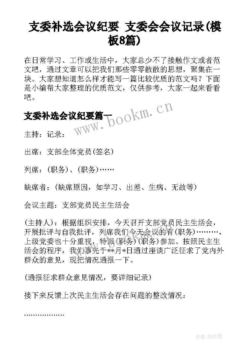 支委补选会议纪要 支委会会议记录(模板8篇)