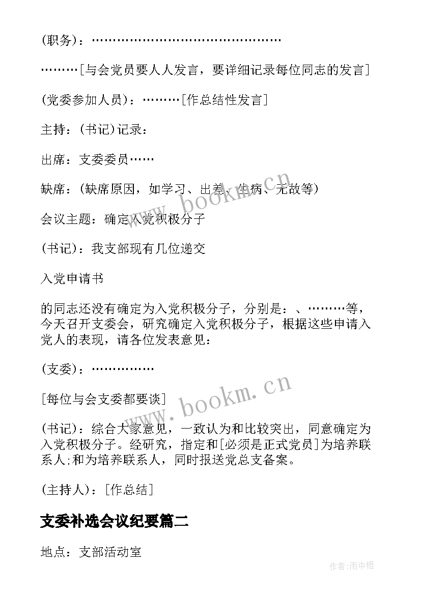 支委补选会议纪要 支委会会议记录(模板8篇)