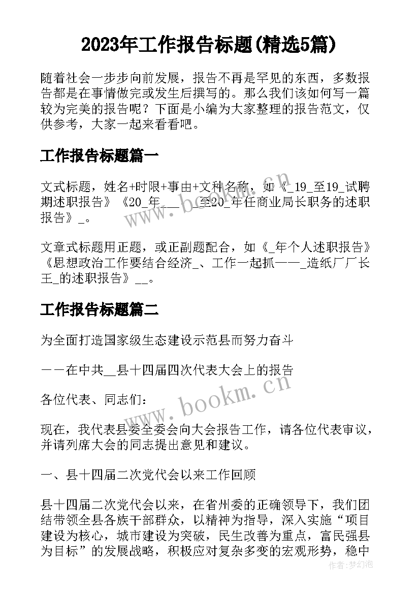 2023年工作报告标题(精选5篇)