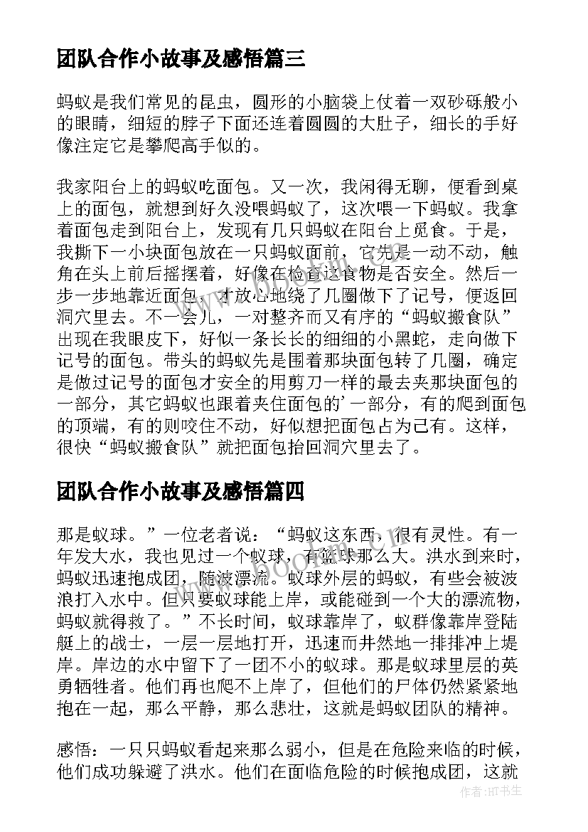 最新团队合作小故事及感悟(优秀5篇)