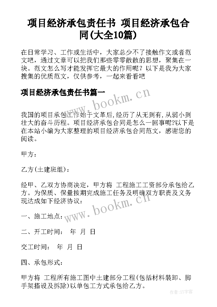 项目经济承包责任书 项目经济承包合同(大全10篇)