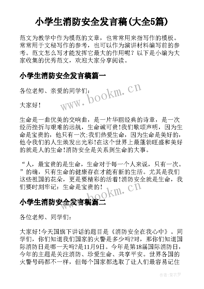 小学生消防安全发言稿(大全5篇)