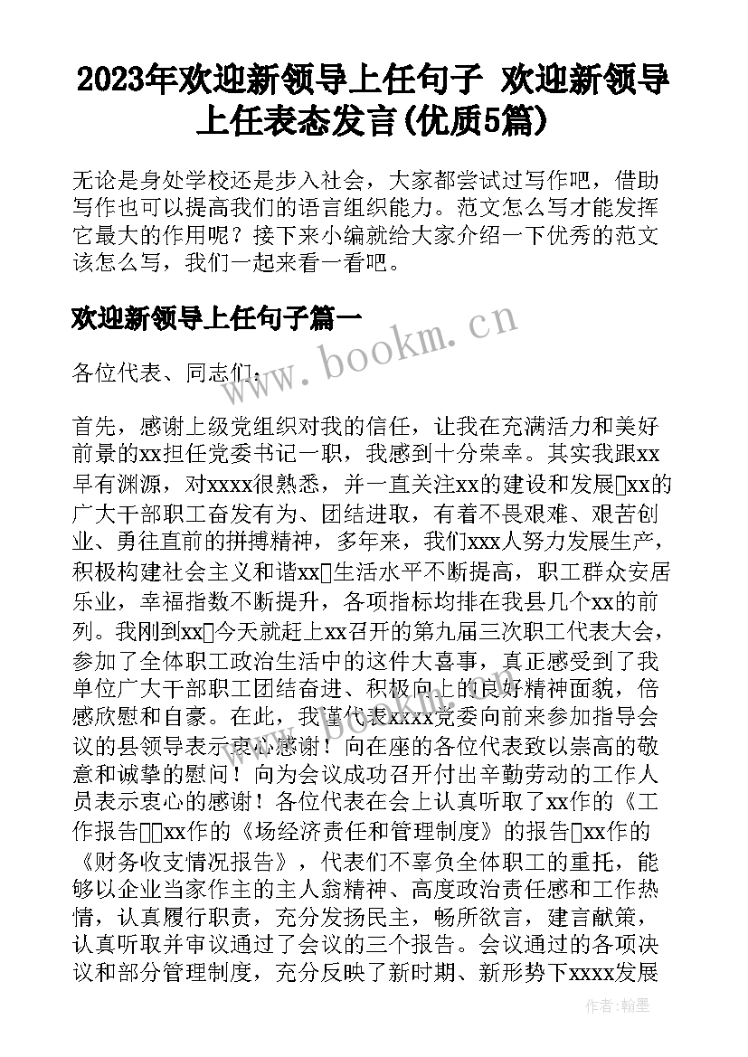 2023年欢迎新领导上任句子 欢迎新领导上任表态发言(优质5篇)