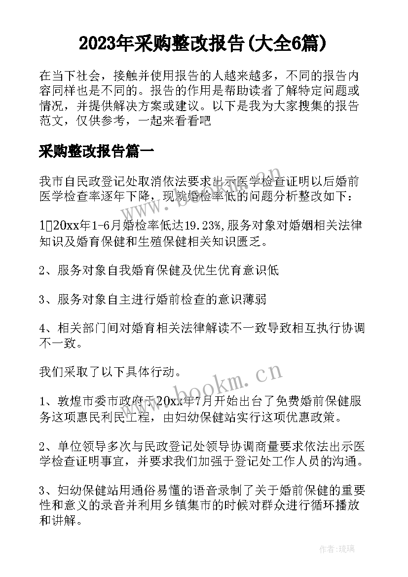 2023年采购整改报告(大全6篇)