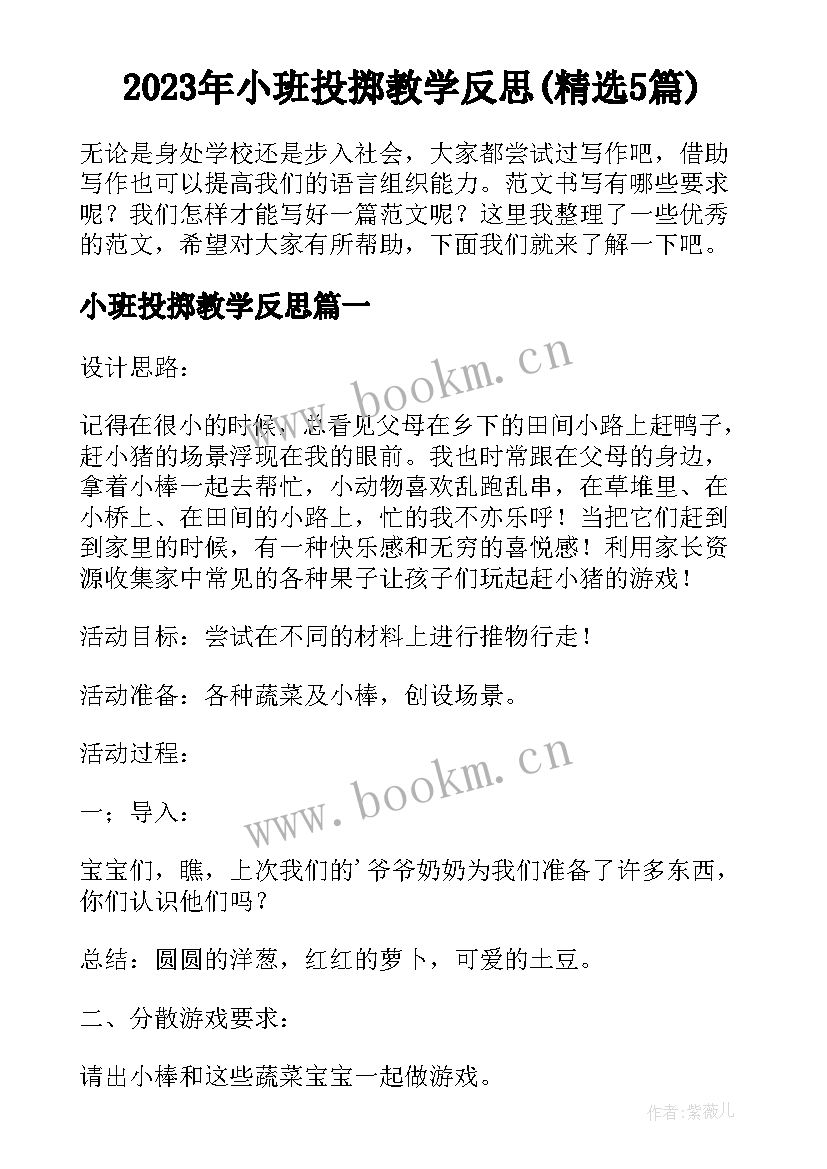 2023年小班投掷教学反思(精选5篇)