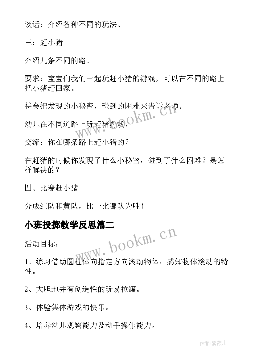 2023年小班投掷教学反思(精选5篇)