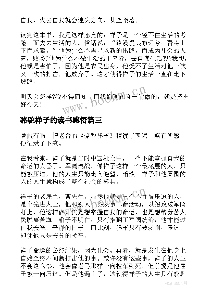 最新骆驼祥子的读书感悟(通用6篇)