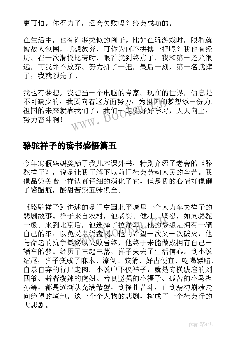 最新骆驼祥子的读书感悟(通用6篇)