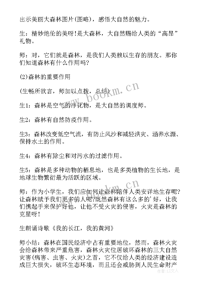 2023年中学生森林防火安全教育教案 安全教育森林防火教案(模板5篇)