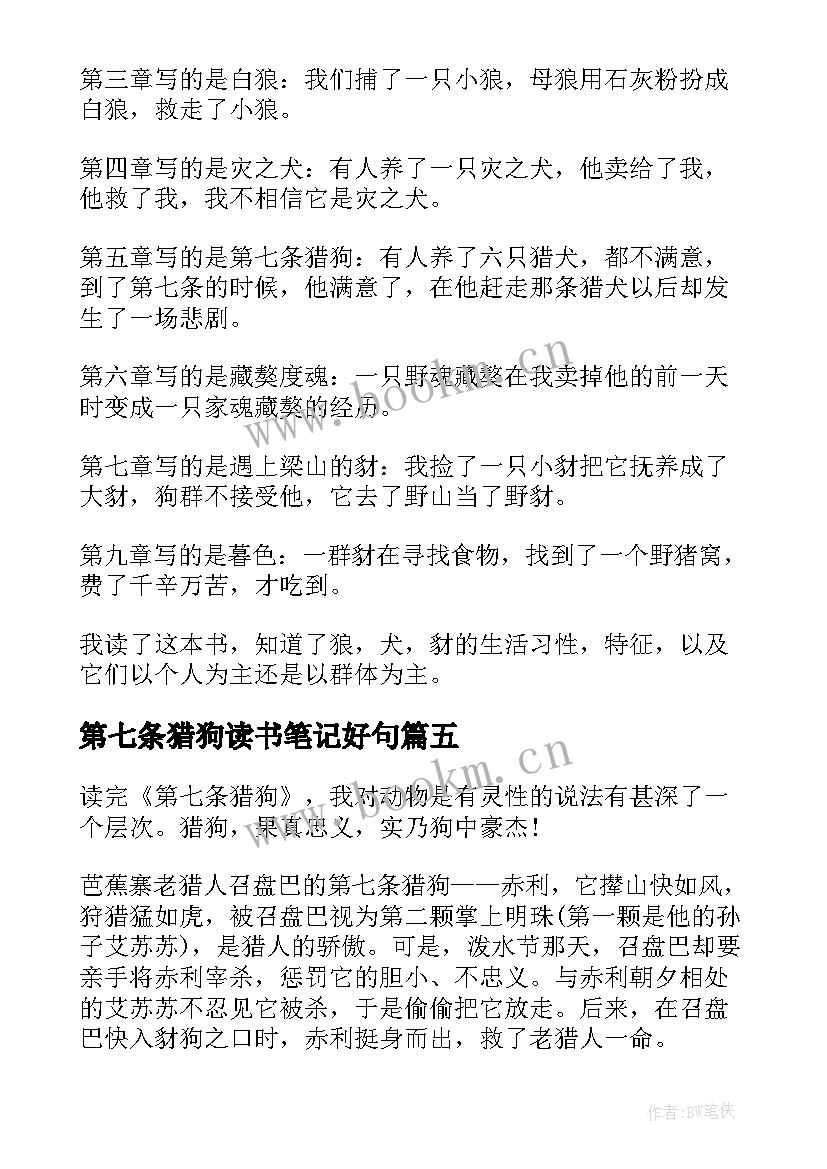 最新第七条猎狗读书笔记好句 第七条猎狗读书笔记(汇总9篇)