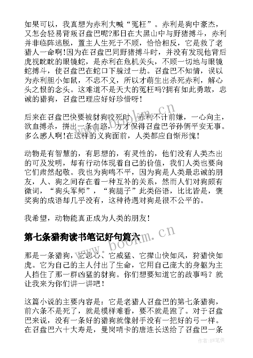 最新第七条猎狗读书笔记好句 第七条猎狗读书笔记(汇总9篇)