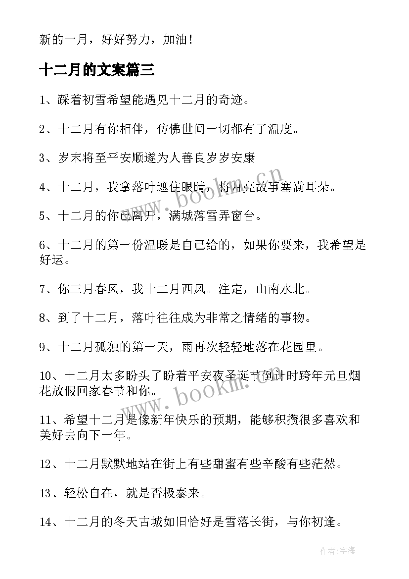 十二月的文案 十二月文案经典(模板7篇)