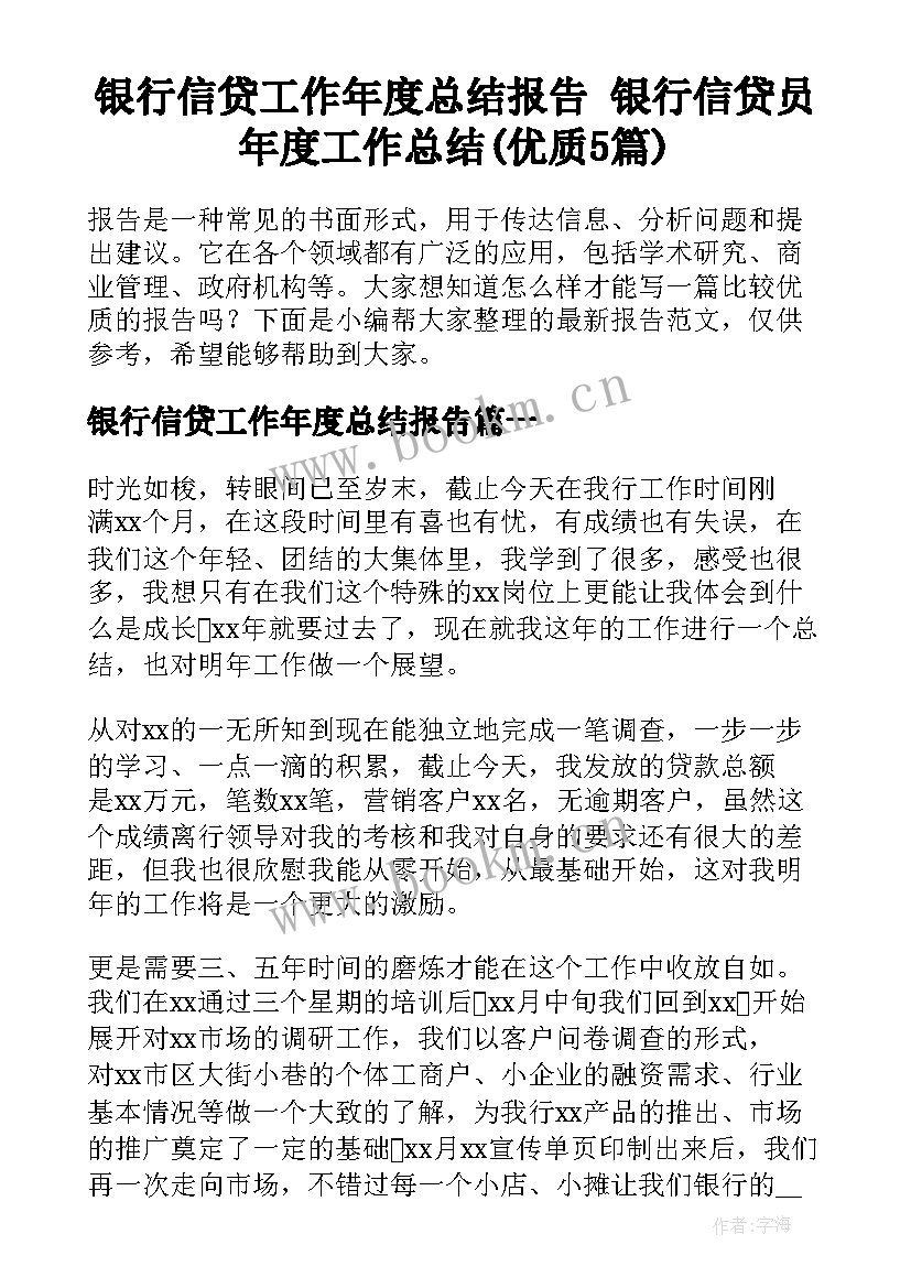 银行信贷工作年度总结报告 银行信贷员年度工作总结(优质5篇)