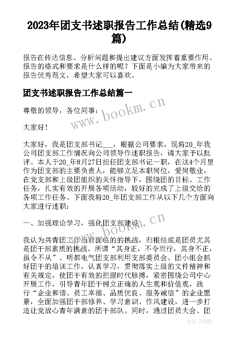 2023年团支书述职报告工作总结(精选9篇)