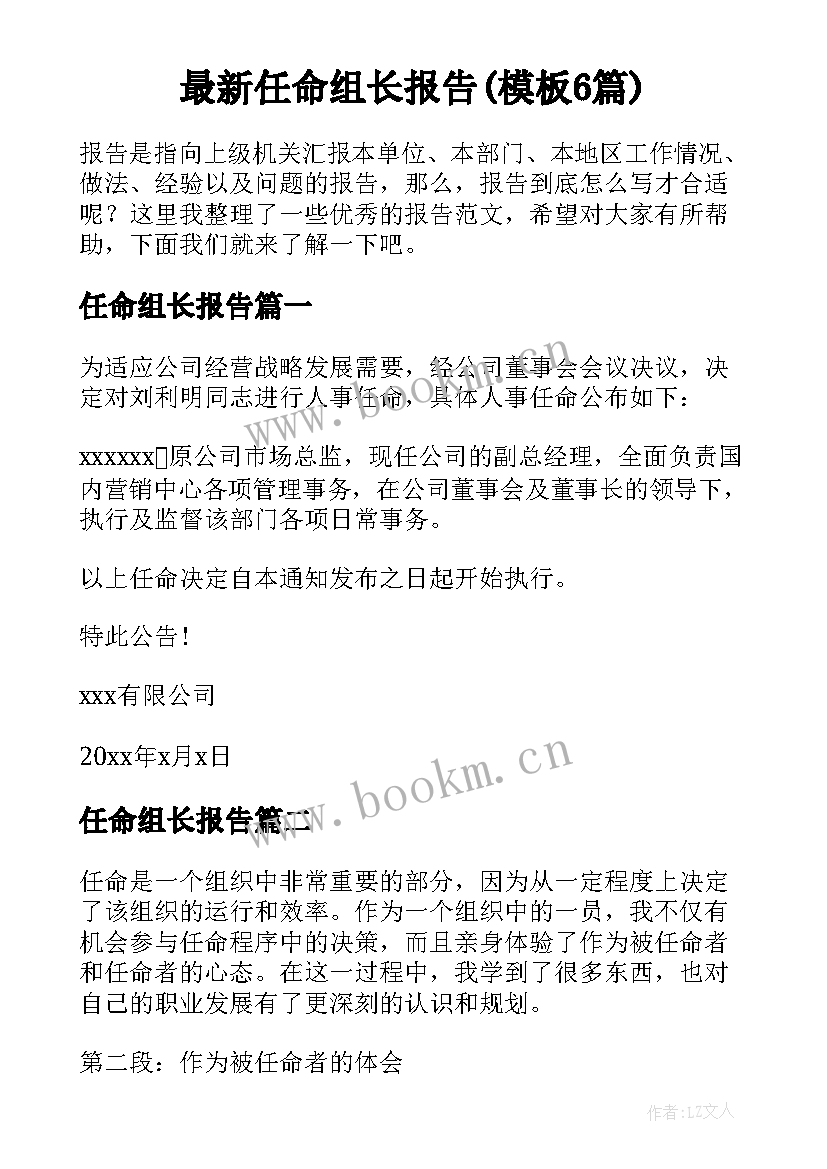 最新任命组长报告(模板6篇)