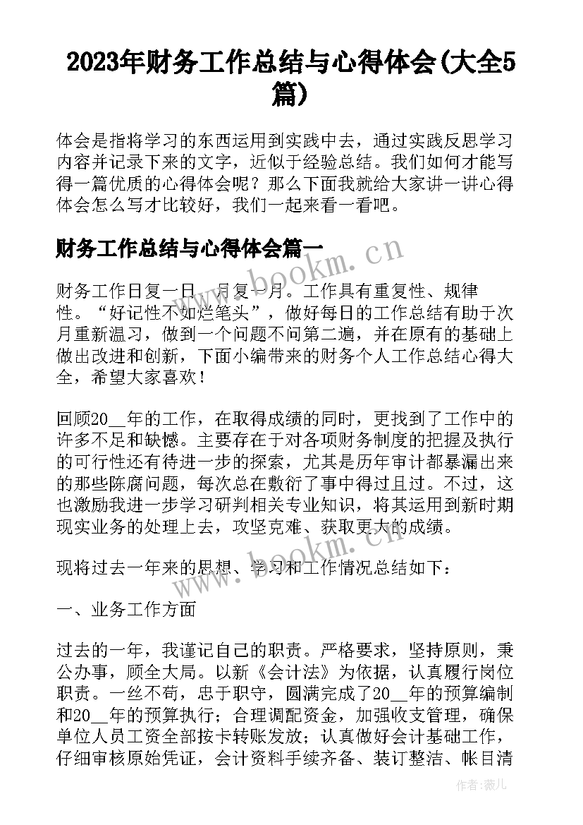 2023年财务工作总结与心得体会(大全5篇)