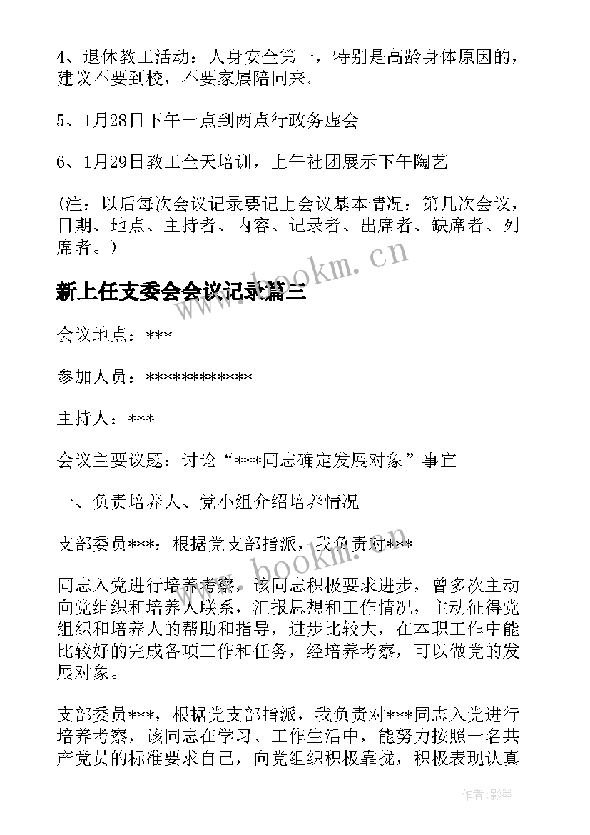 新上任支委会会议记录(大全5篇)