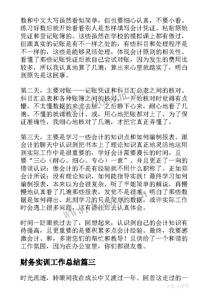 财务实训工作总结(大全5篇)