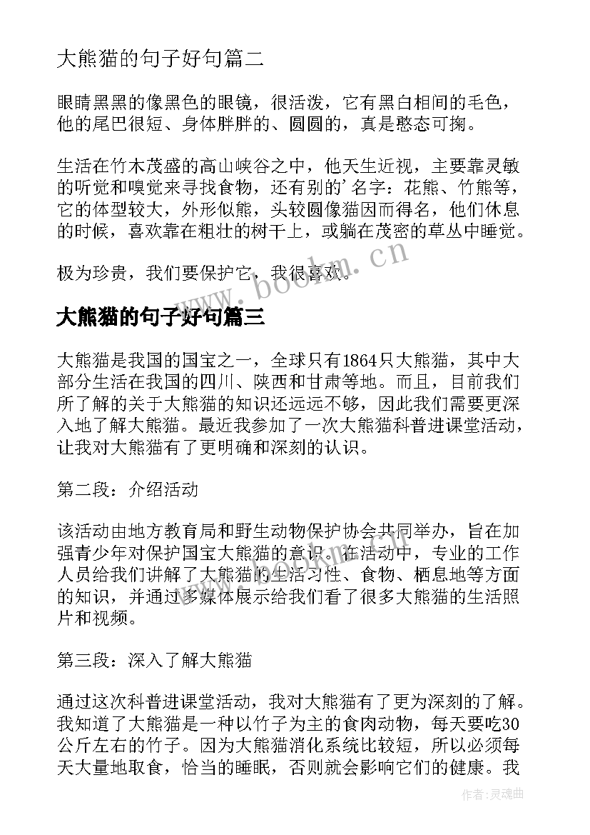 2023年大熊猫的句子好句 大熊猫的秘密读书心得体会(大全5篇)