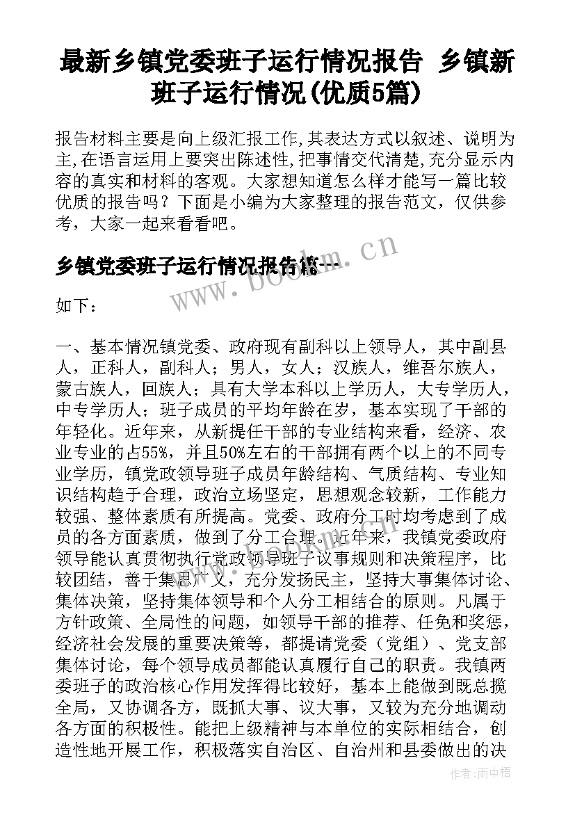 最新乡镇党委班子运行情况报告 乡镇新班子运行情况(优质5篇)