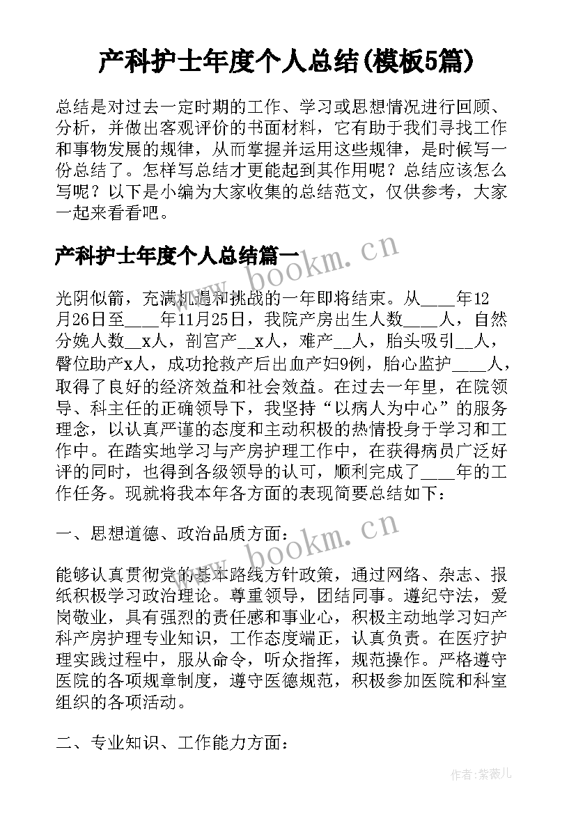 产科护士年度个人总结(模板5篇)