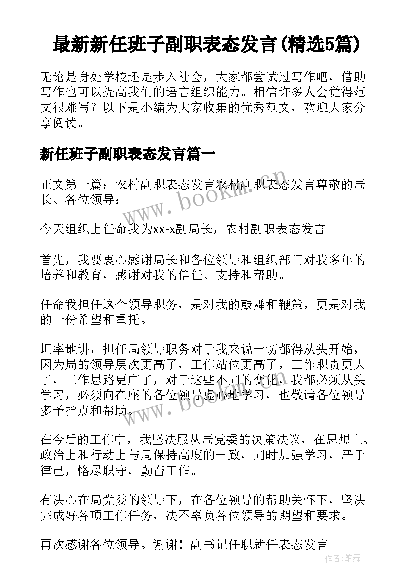 最新新任班子副职表态发言(精选5篇)