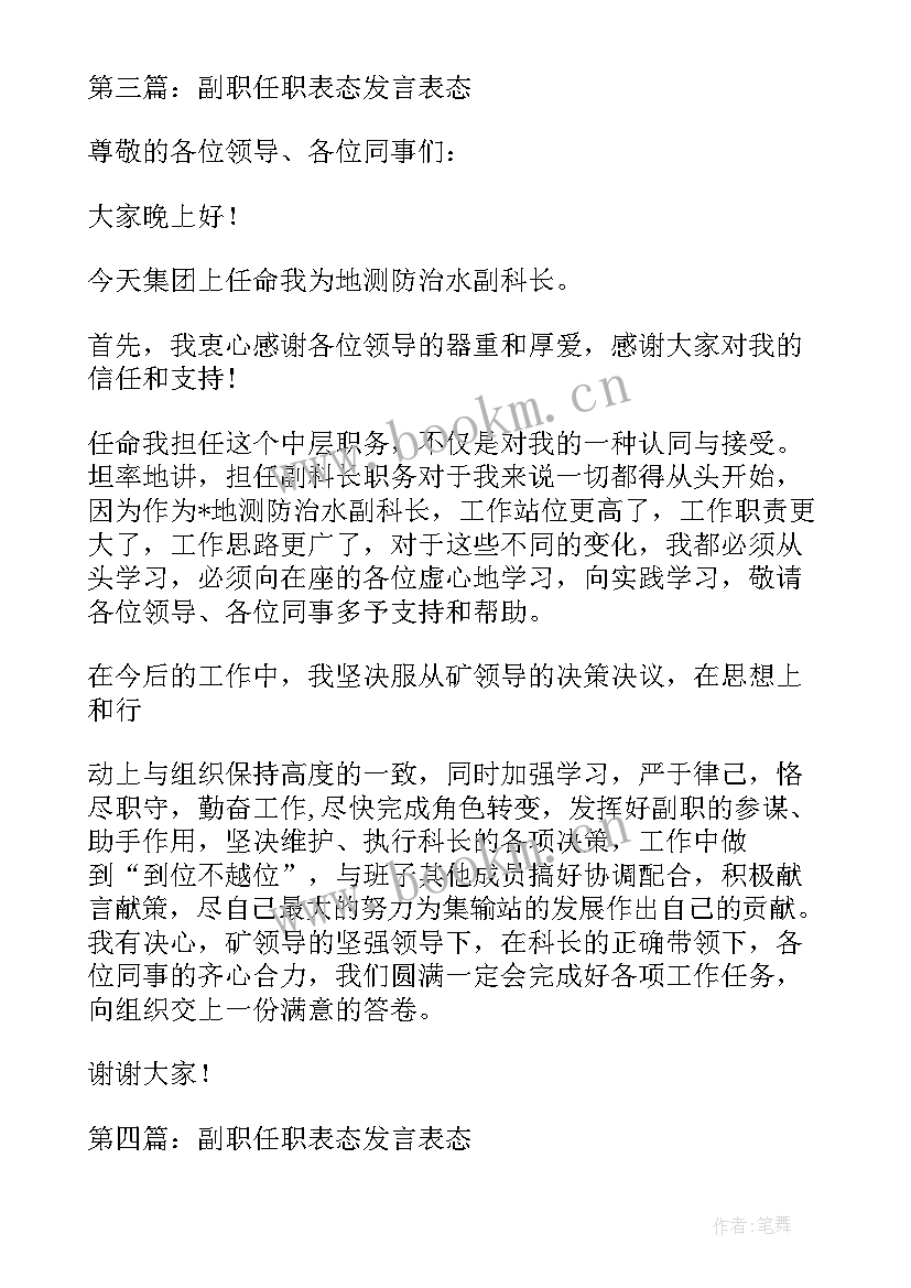 最新新任班子副职表态发言(精选5篇)