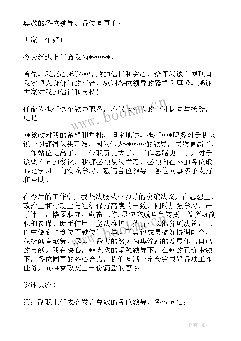 最新新任班子副职表态发言(精选5篇)