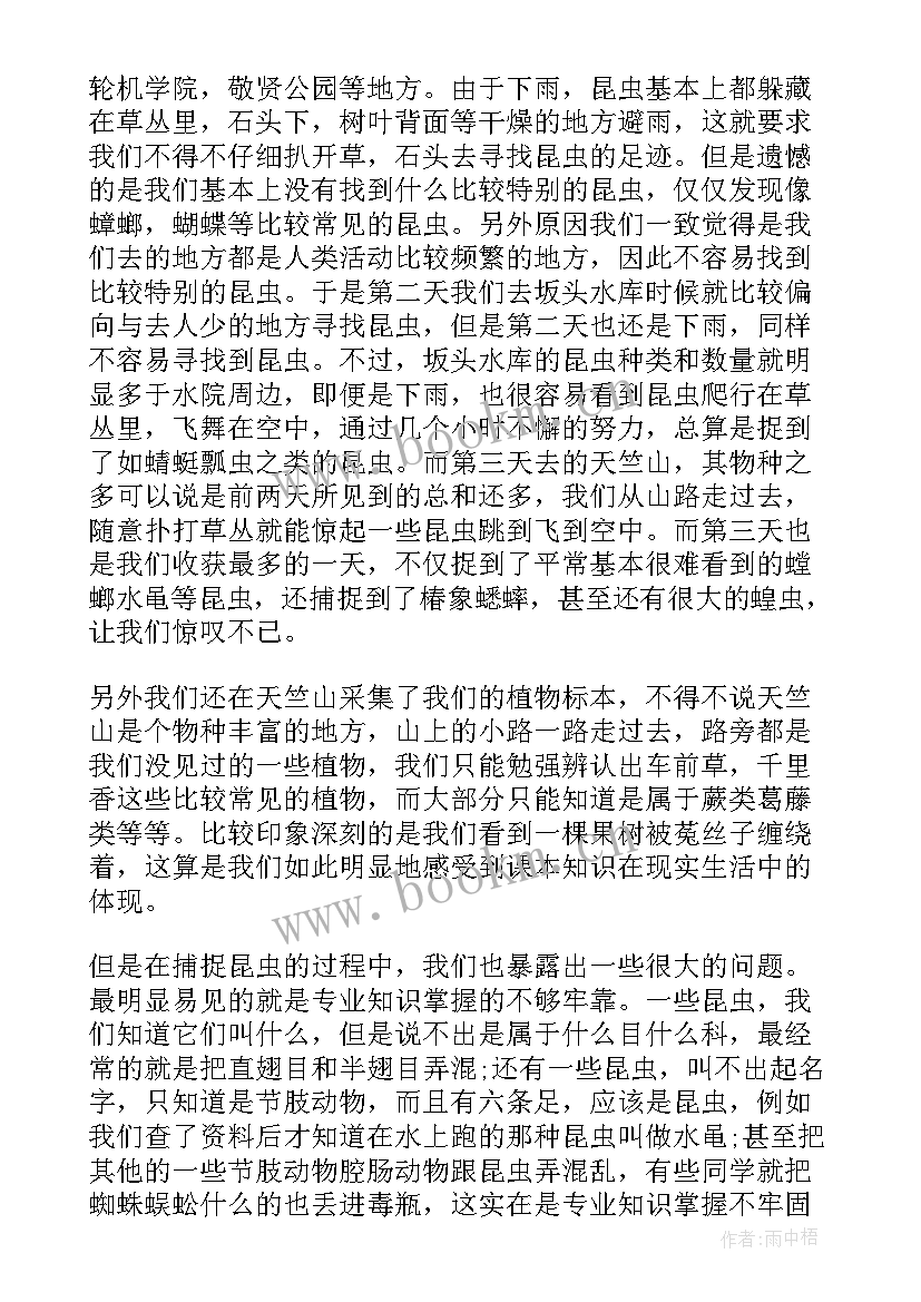 教育教学实践总结 教育教学实习总结报告(优质9篇)