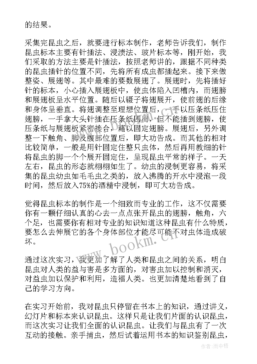 教育教学实践总结 教育教学实习总结报告(优质9篇)