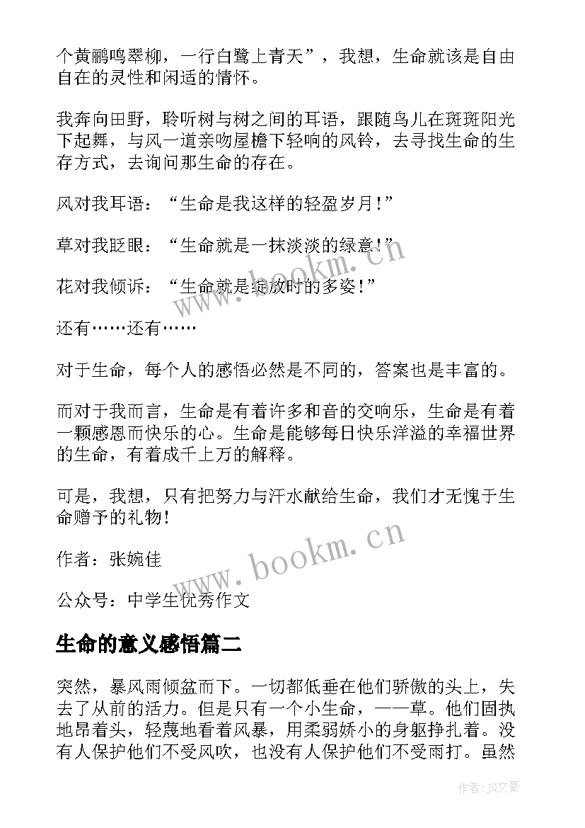 2023年生命的意义感悟(优质5篇)