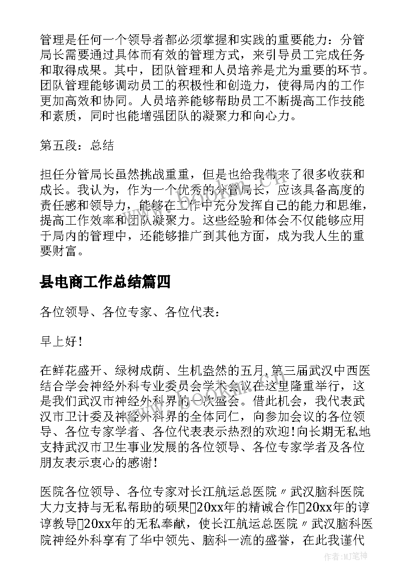 县电商工作总结(实用9篇)