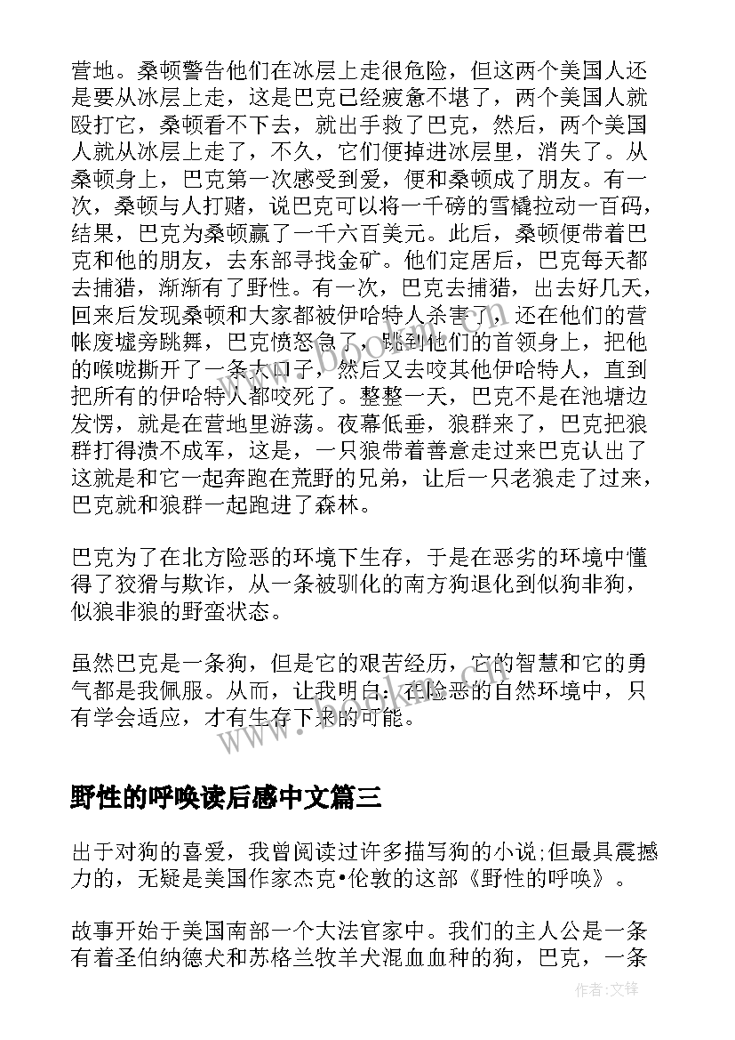 最新野性的呼唤读后感中文 野性的呼唤读后感(模板7篇)