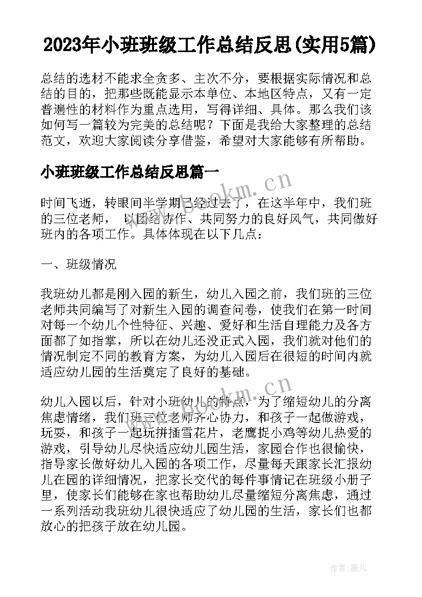 2023年小班班级工作总结反思(实用5篇)