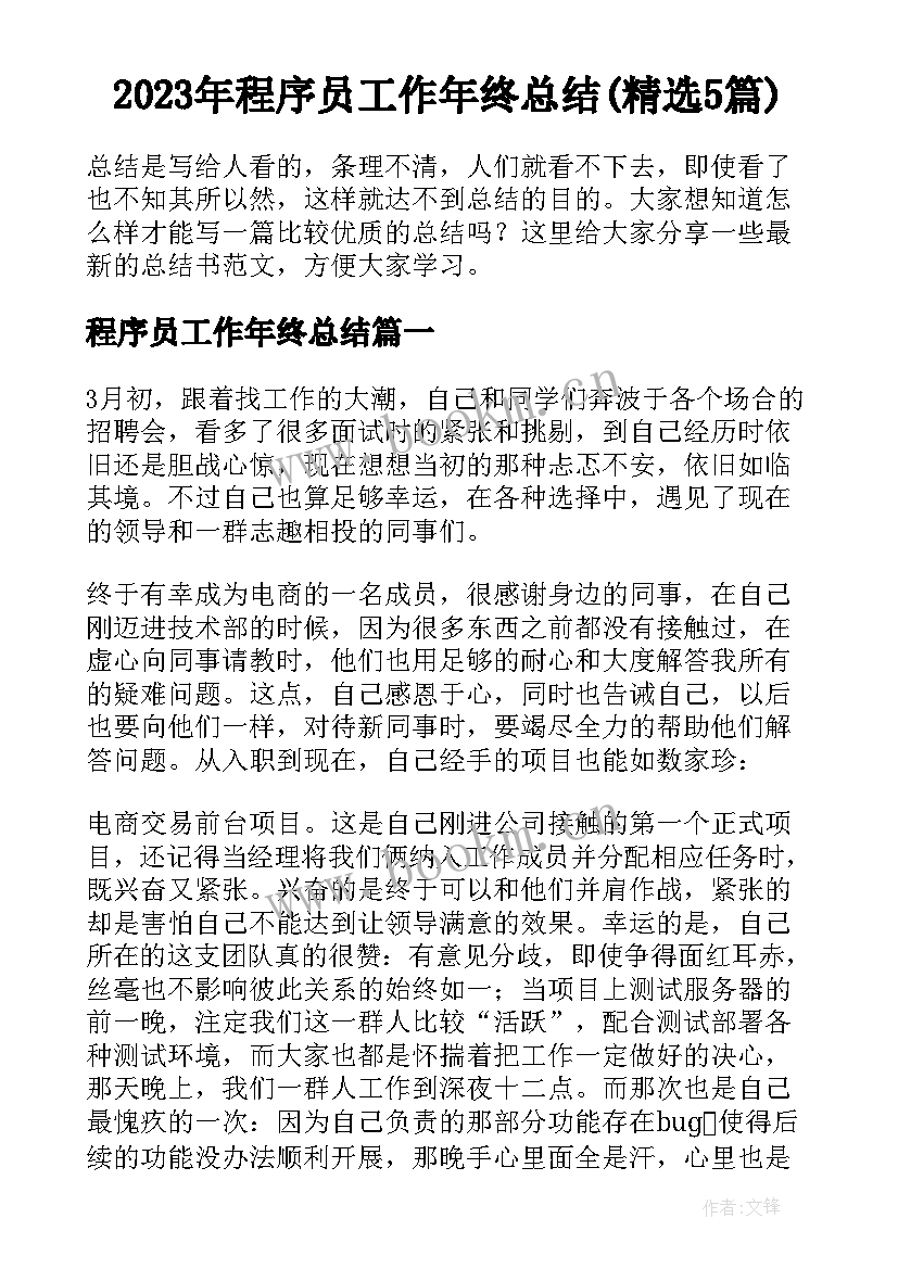 2023年程序员工作年终总结(精选5篇)