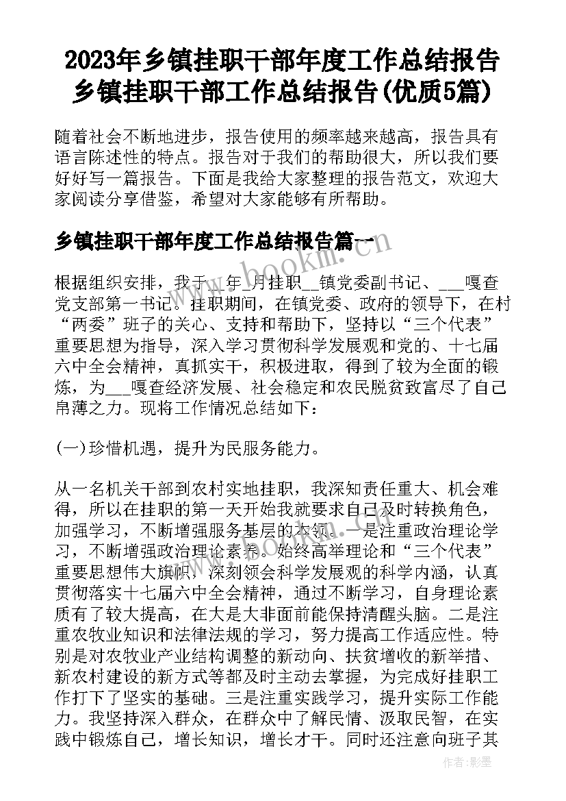 2023年乡镇挂职干部年度工作总结报告 乡镇挂职干部工作总结报告(优质5篇)