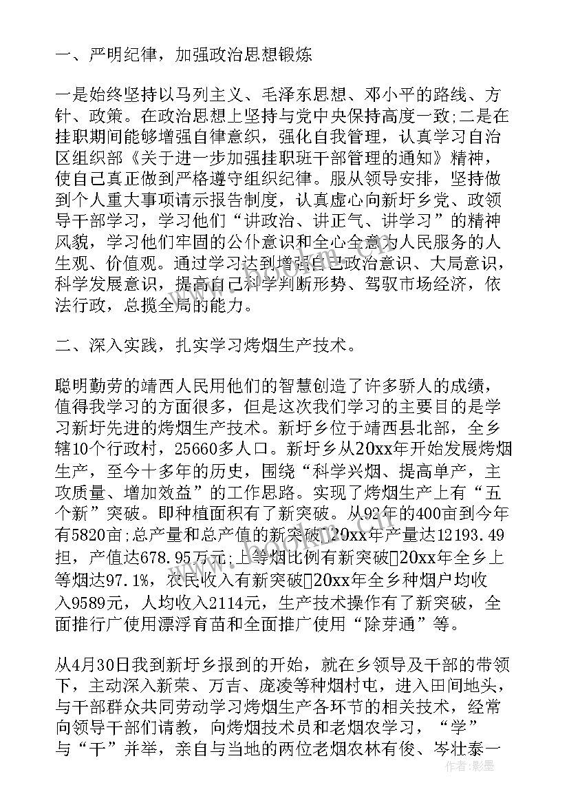 2023年乡镇挂职干部年度工作总结报告 乡镇挂职干部工作总结报告(优质5篇)