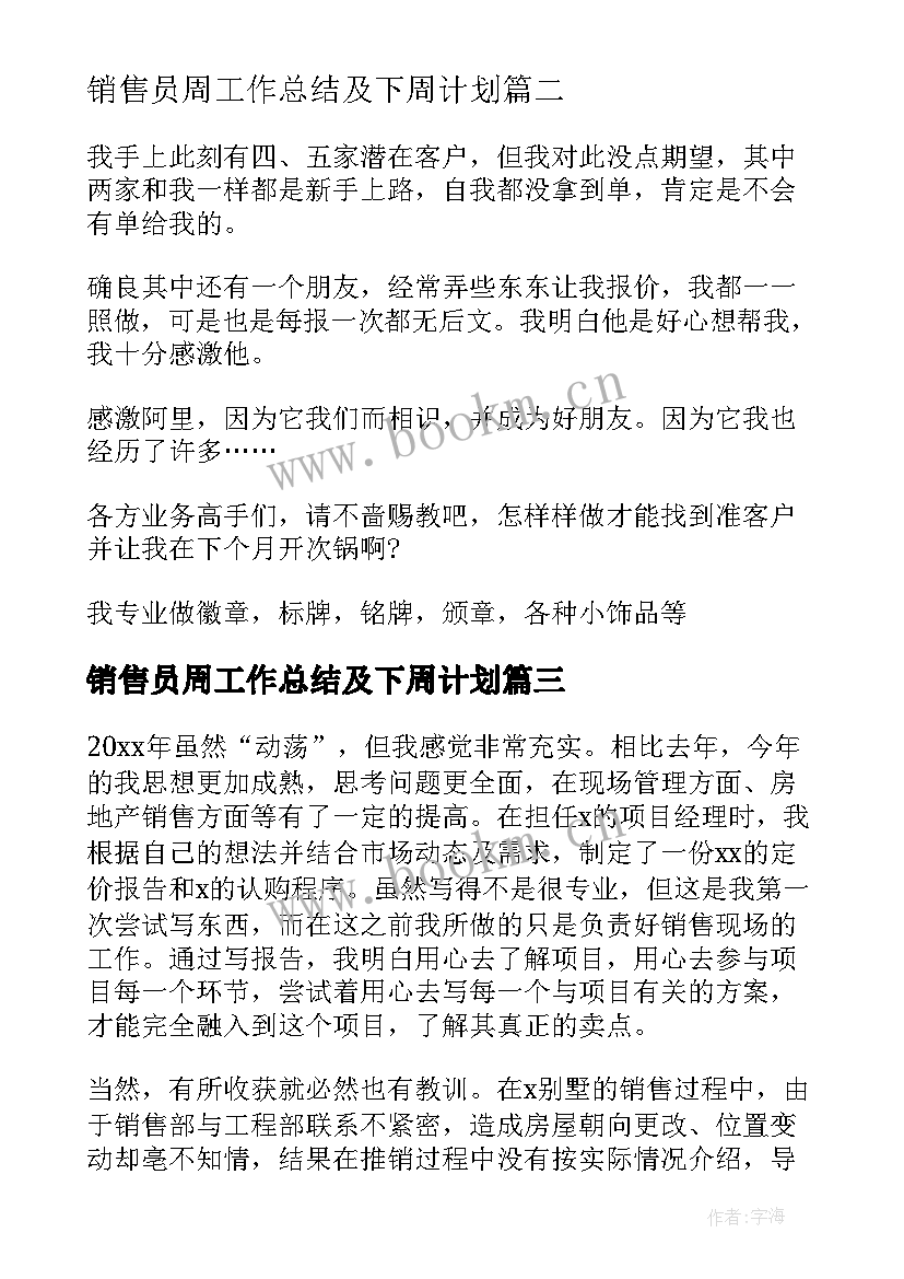 2023年销售员周工作总结及下周计划(优秀9篇)