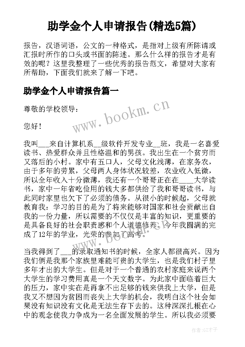 助学金个人申请报告(精选5篇)