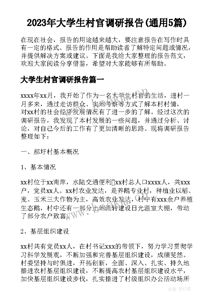 2023年大学生村官调研报告(通用5篇)