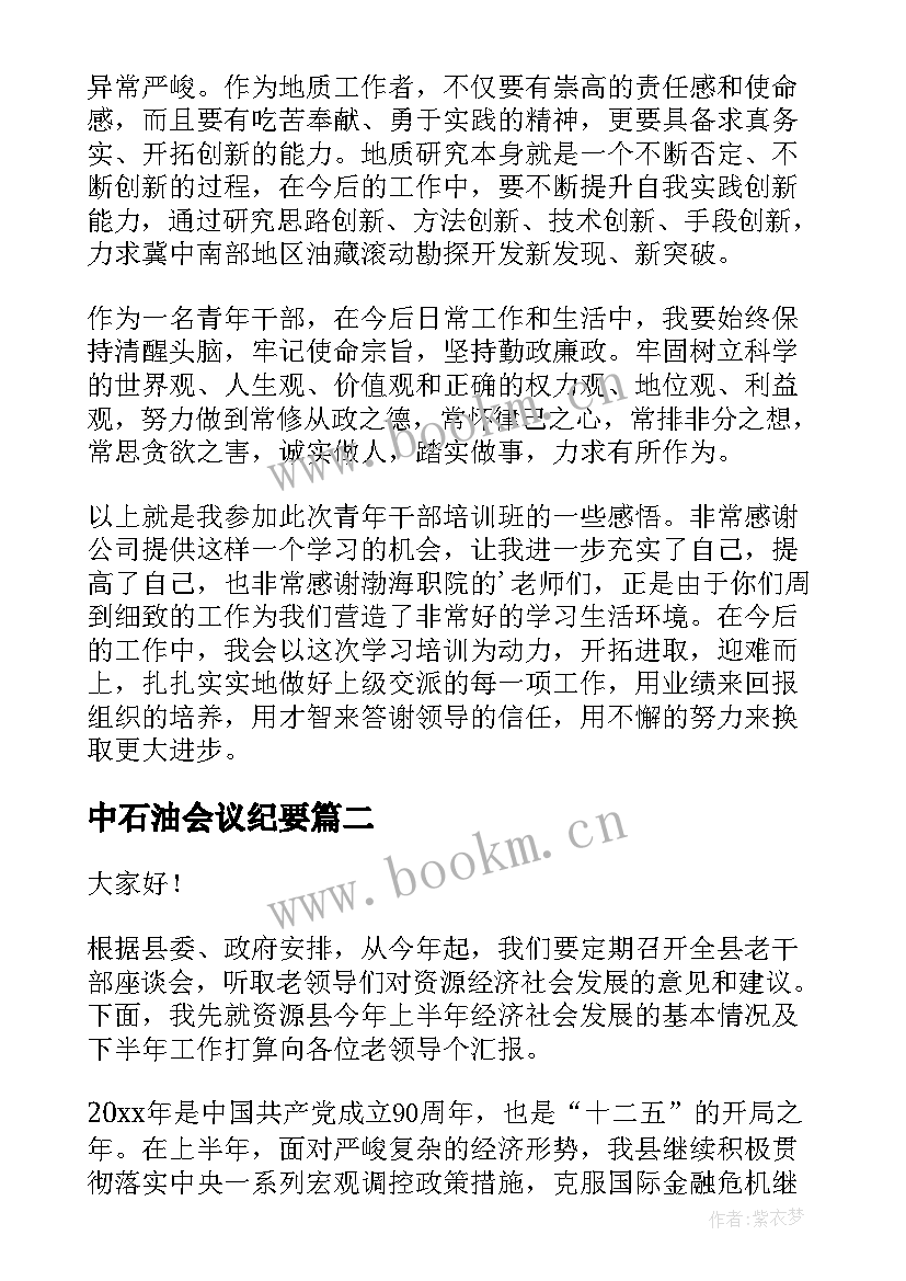 最新中石油会议纪要 座谈会发言稿(模板8篇)