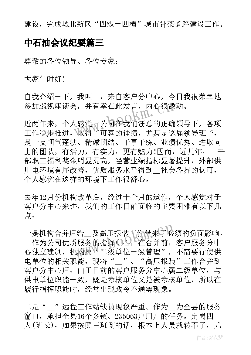 最新中石油会议纪要 座谈会发言稿(模板8篇)